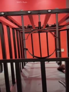 PLQP-459 推特网红-泄密高颜值巨乳翘臀小厨娘的福利诱惑