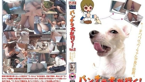 PUROD-072 - 拳击狗要.去冒险！第二卷即将到来，敬请期待